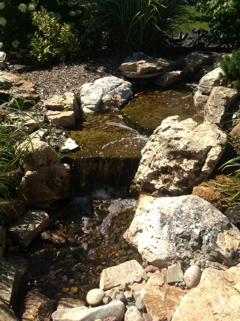 Auburn-Sky-Lincoln-Park-Zoo-Water-Feature.jpg