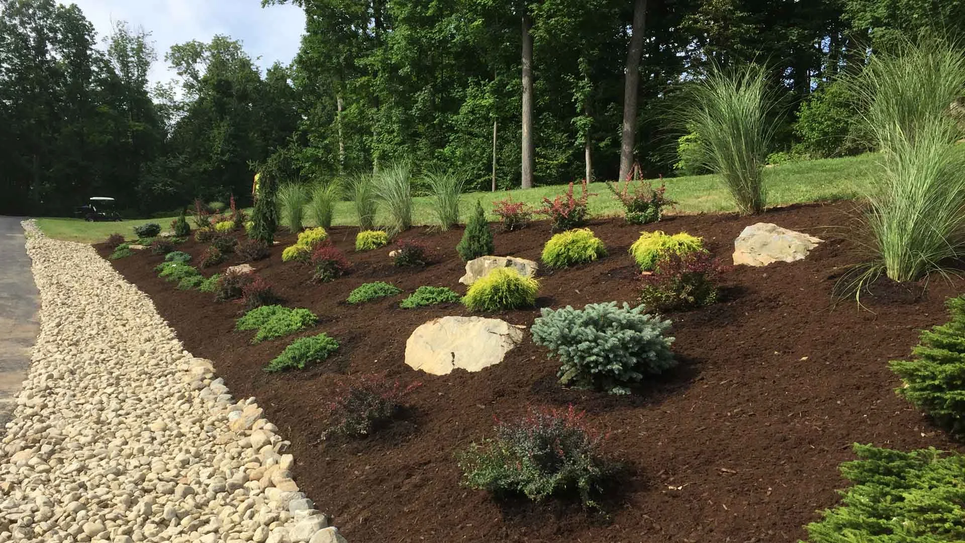 Auburn-Sky-Landscaping-Softscape-Plant-Install-Driveway.jpg