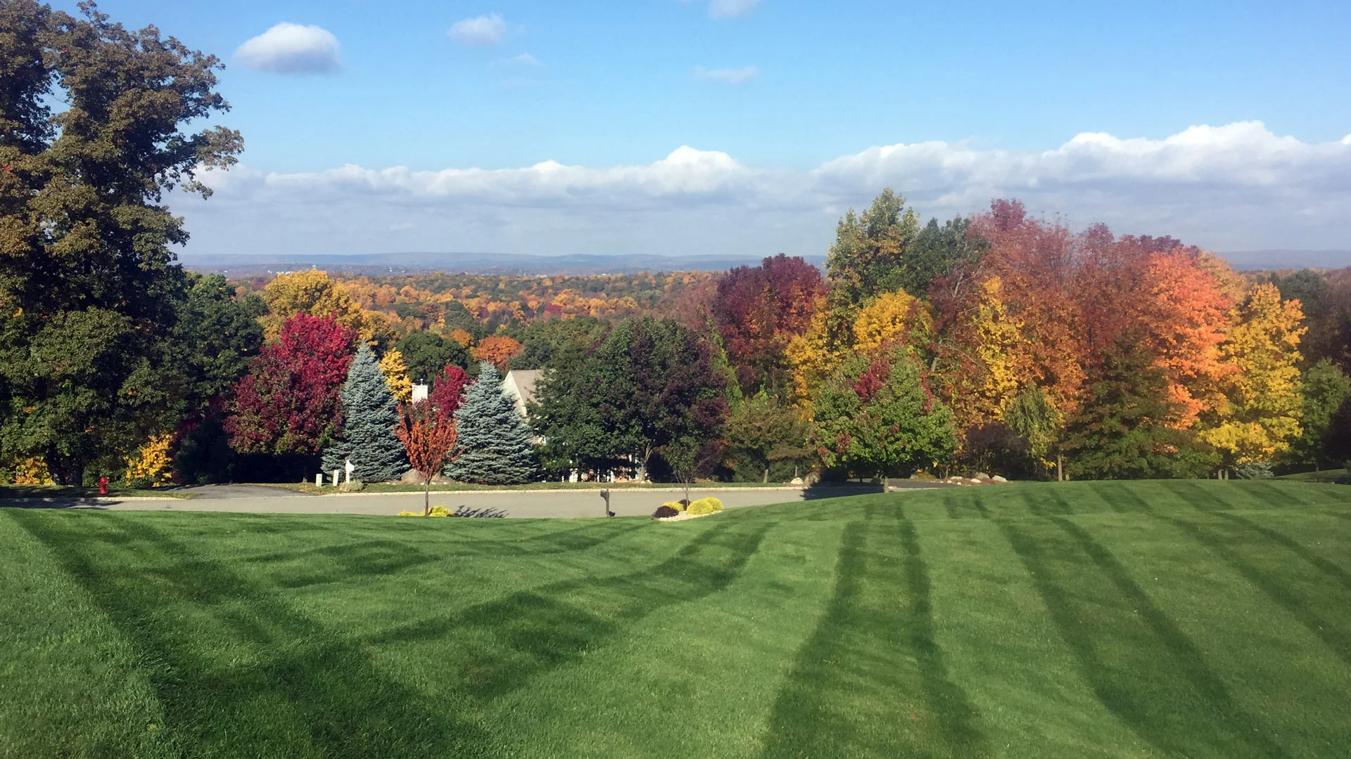 Auburn-Sky-Fall-Lawn.jpg