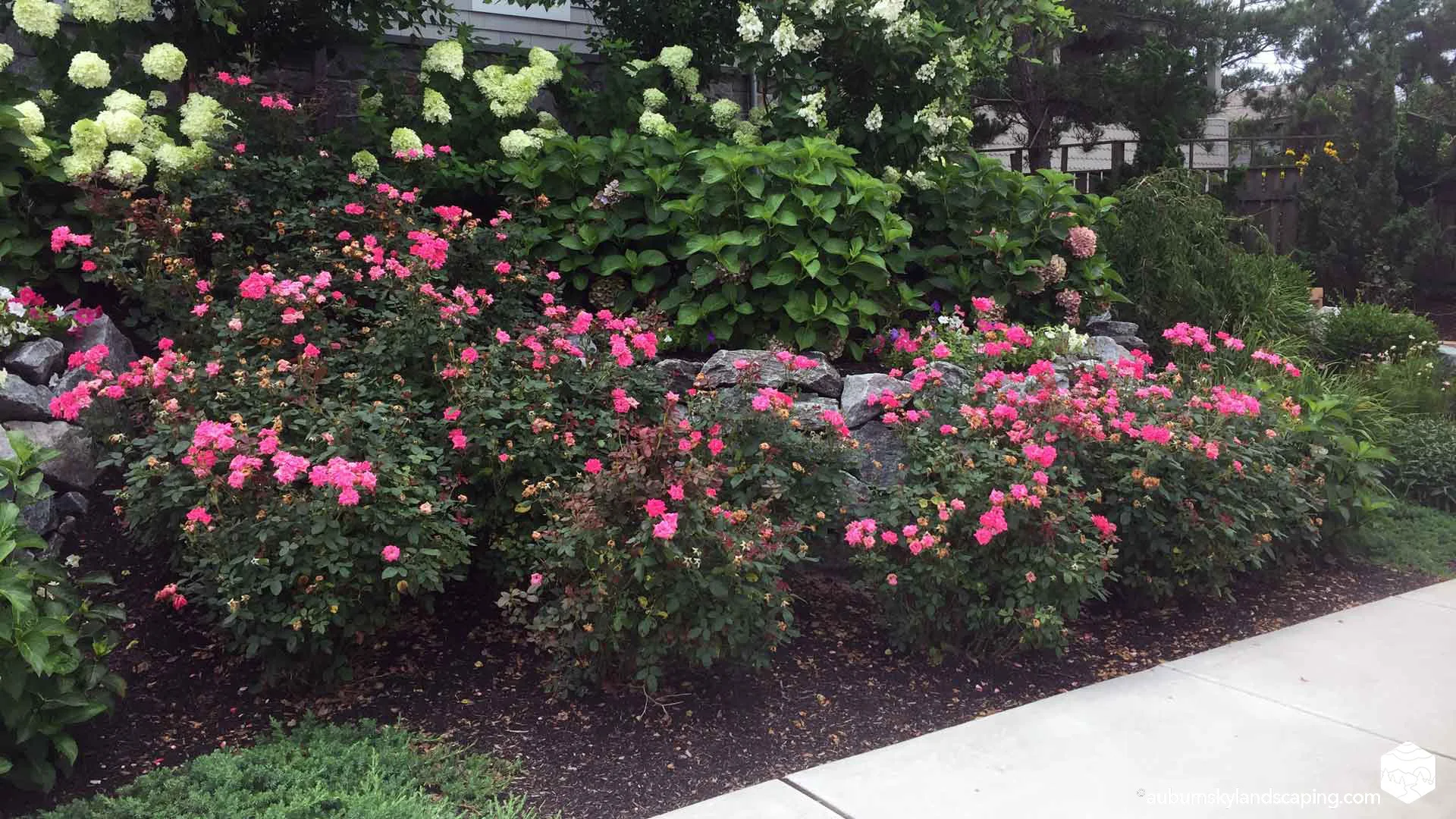 Auburn-Sky-Landscaping-Softscape-Plants-Curb-Appeal.jpg