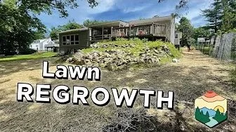 How to Grow Grass in the Shade: A Lawn Transformation