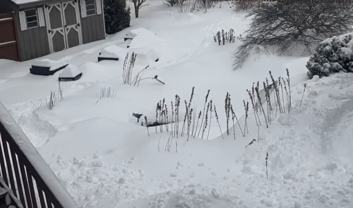 Winter Snow Melt, Spring Rains: Why Drainage Planning Matters Now