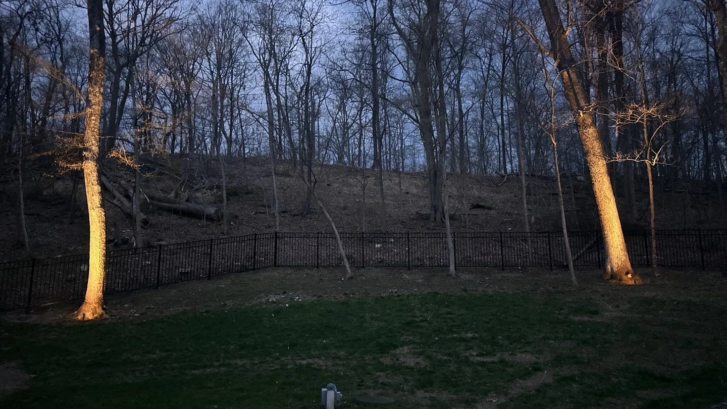 Landscape Lighting 1-2.jpg