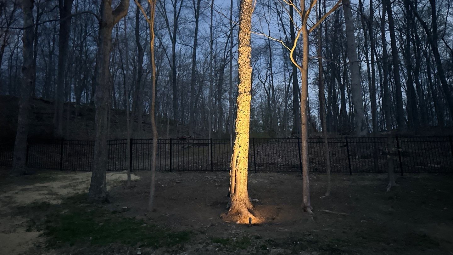 Landscape Lighting 1-3.jpg