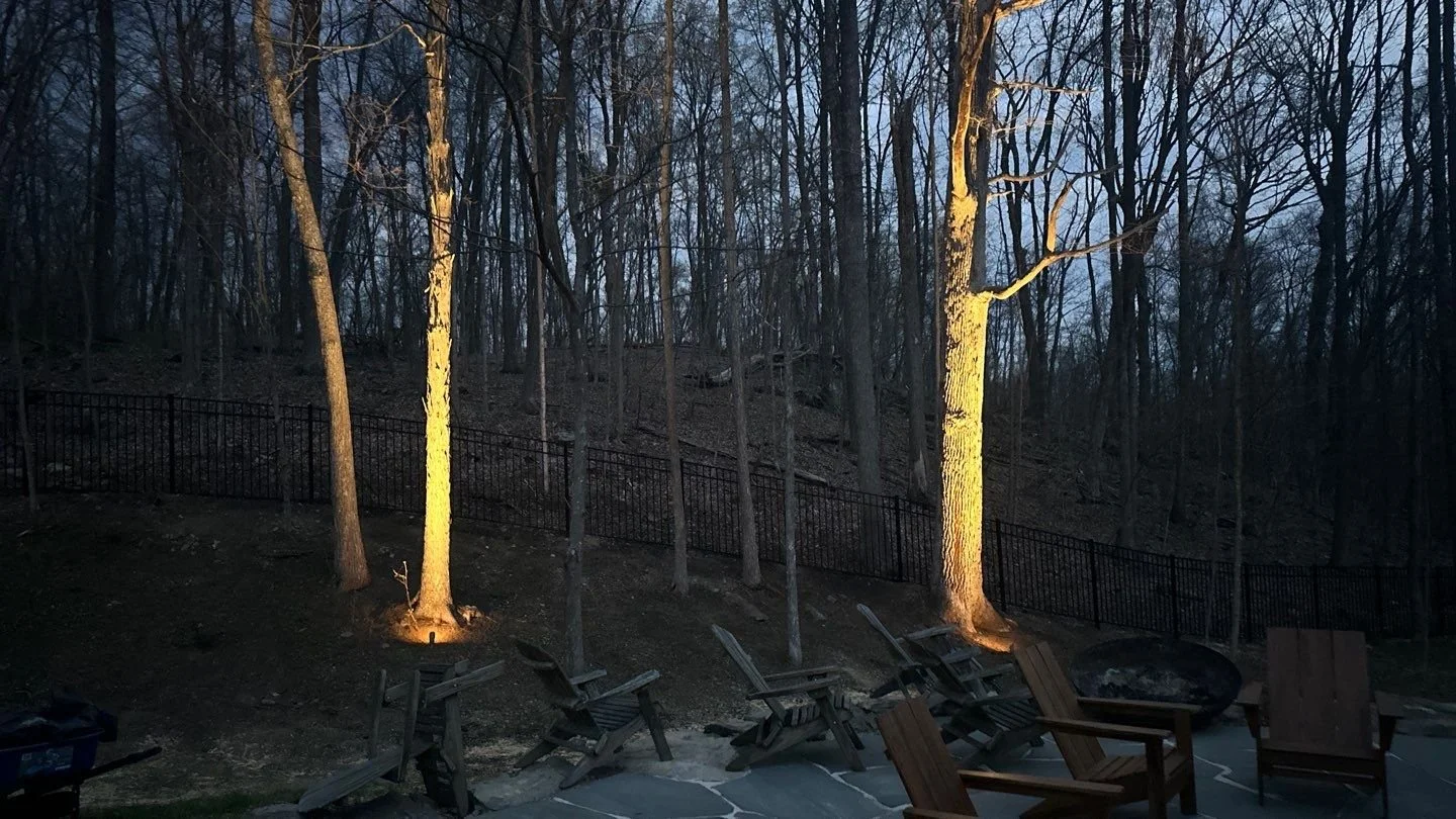 Landscape Lighting 1-4.jpg