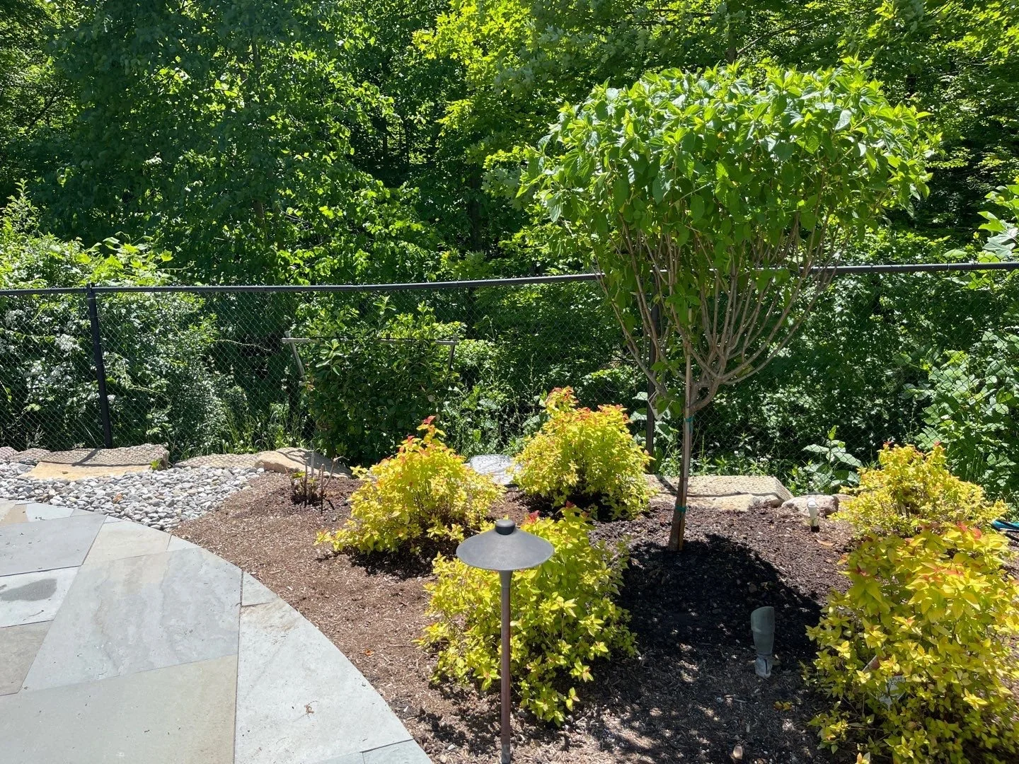 Landscape Lighting 2-3.jpg