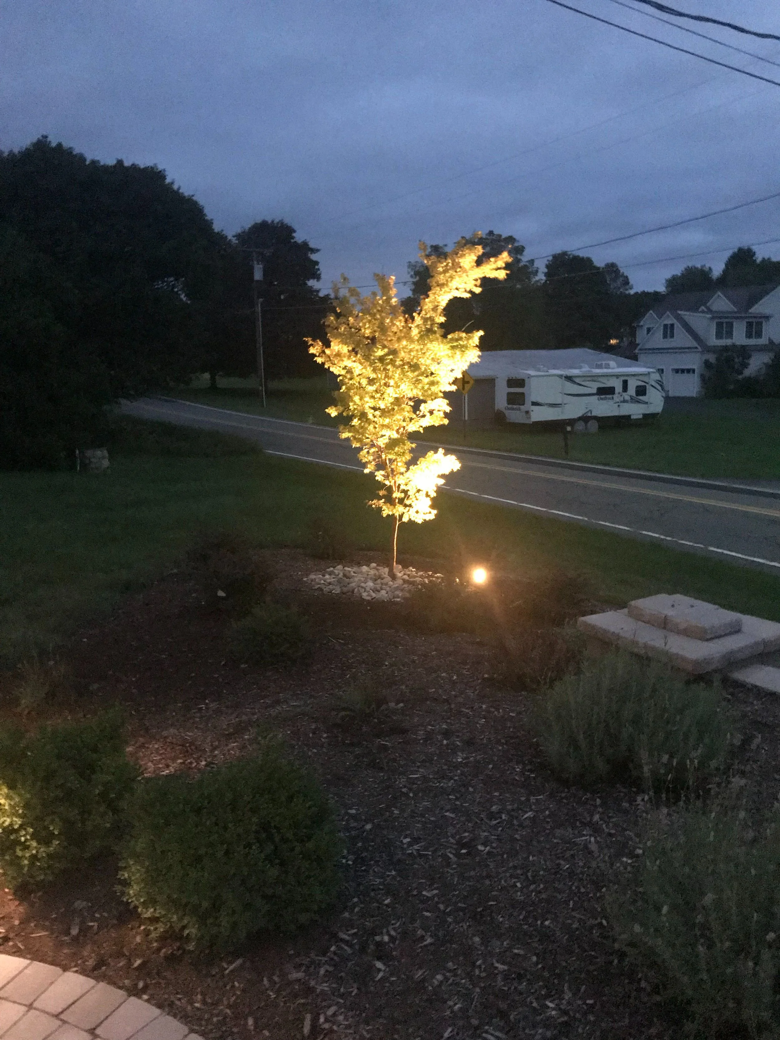 Landscape Lighting 3-7.jpg