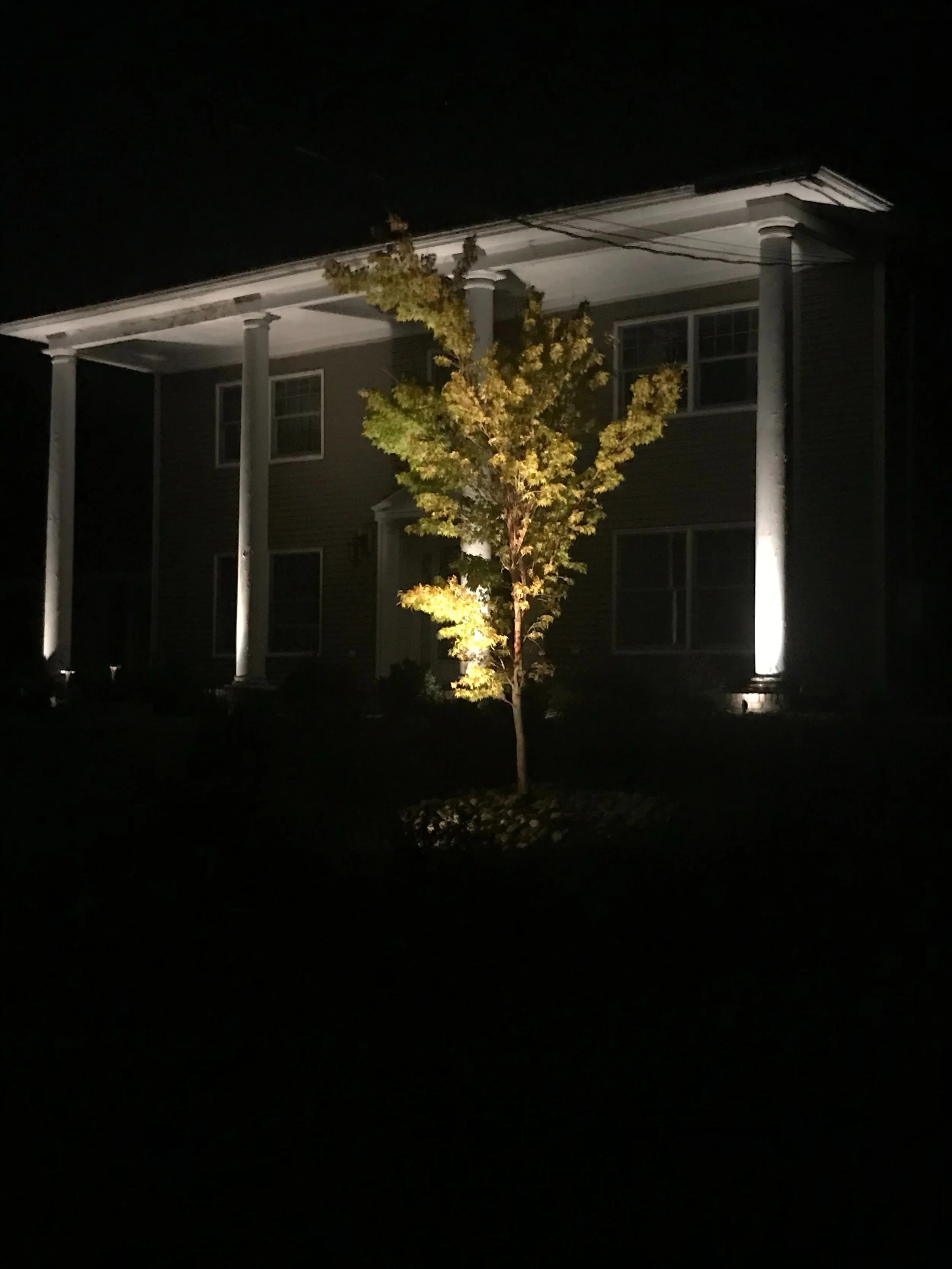 Landscape Lighting 3-8.jpg