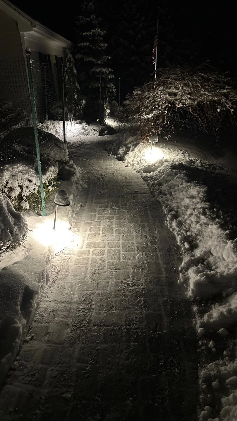 Landscape Lighting 10-4.jpg