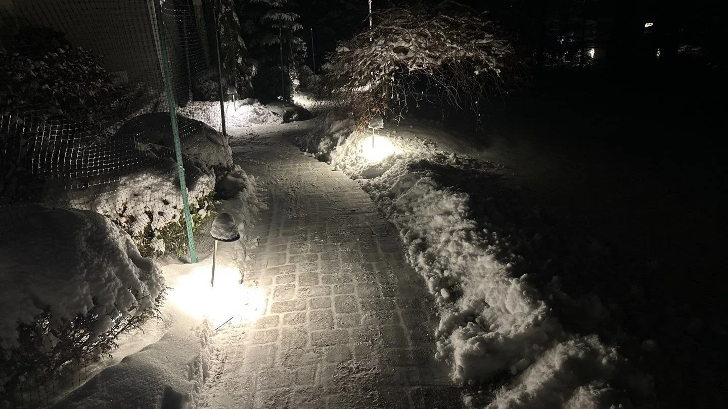 Landscape Lighting 10-5.jpg