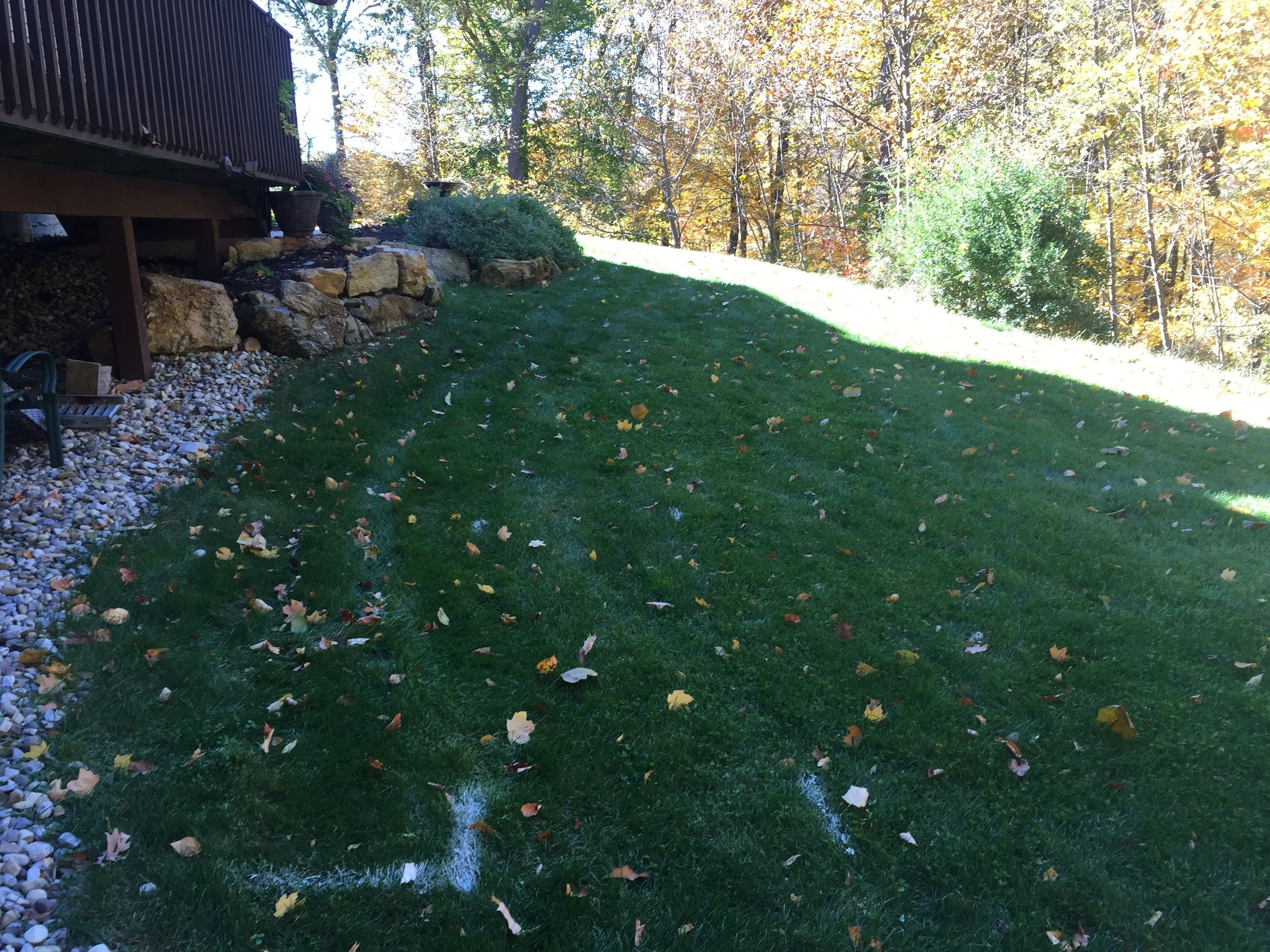 Landscape Lighting 12-1.jpg