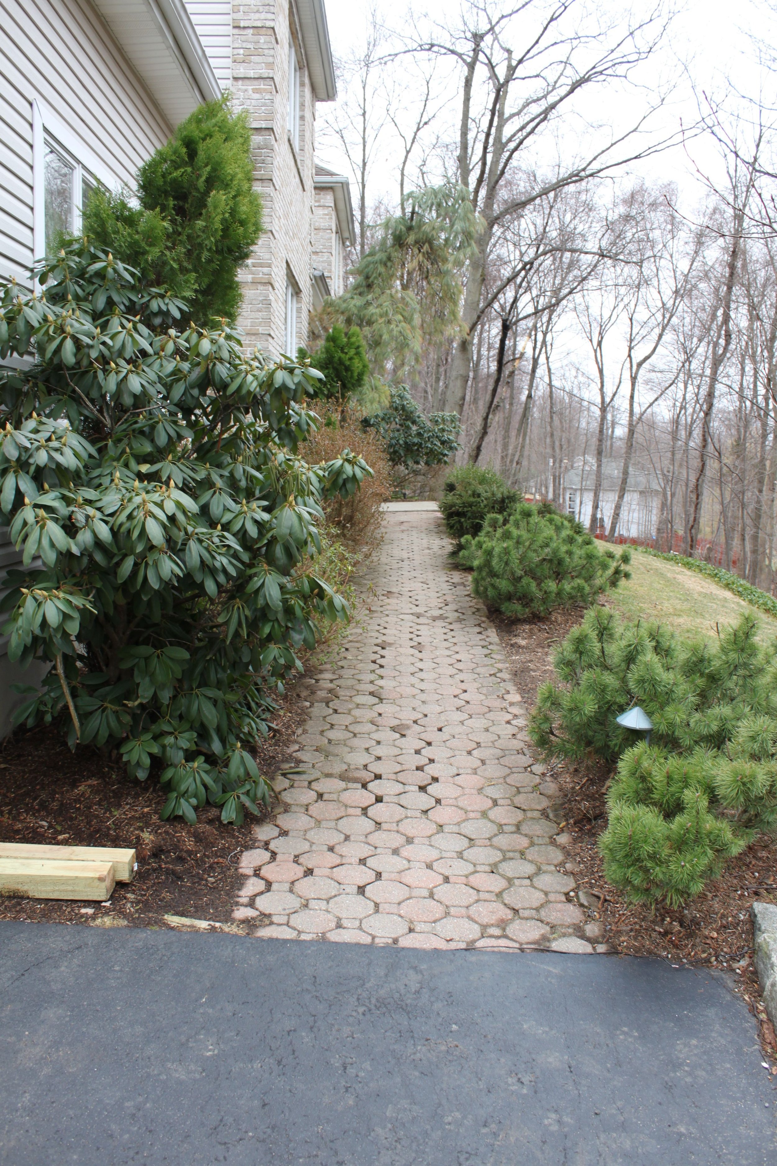 Landscape Lighting 13-1.JPG