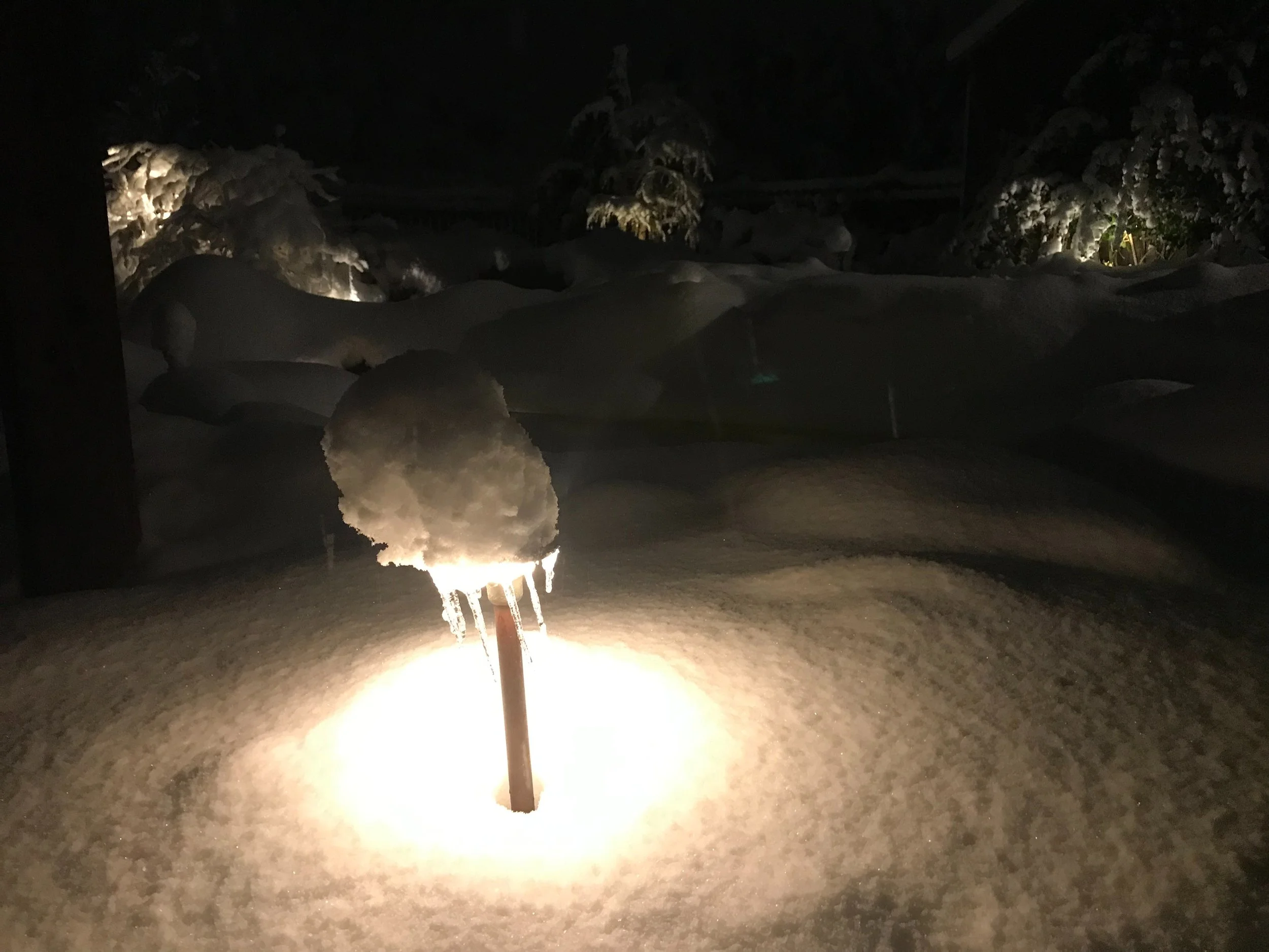 Landscape Lighting 14-3.jpg