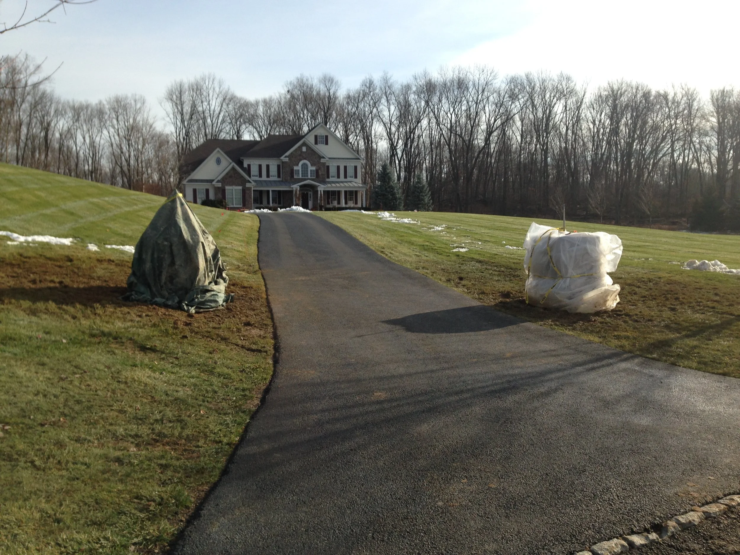 Landscape Lighting 16-3.jpg