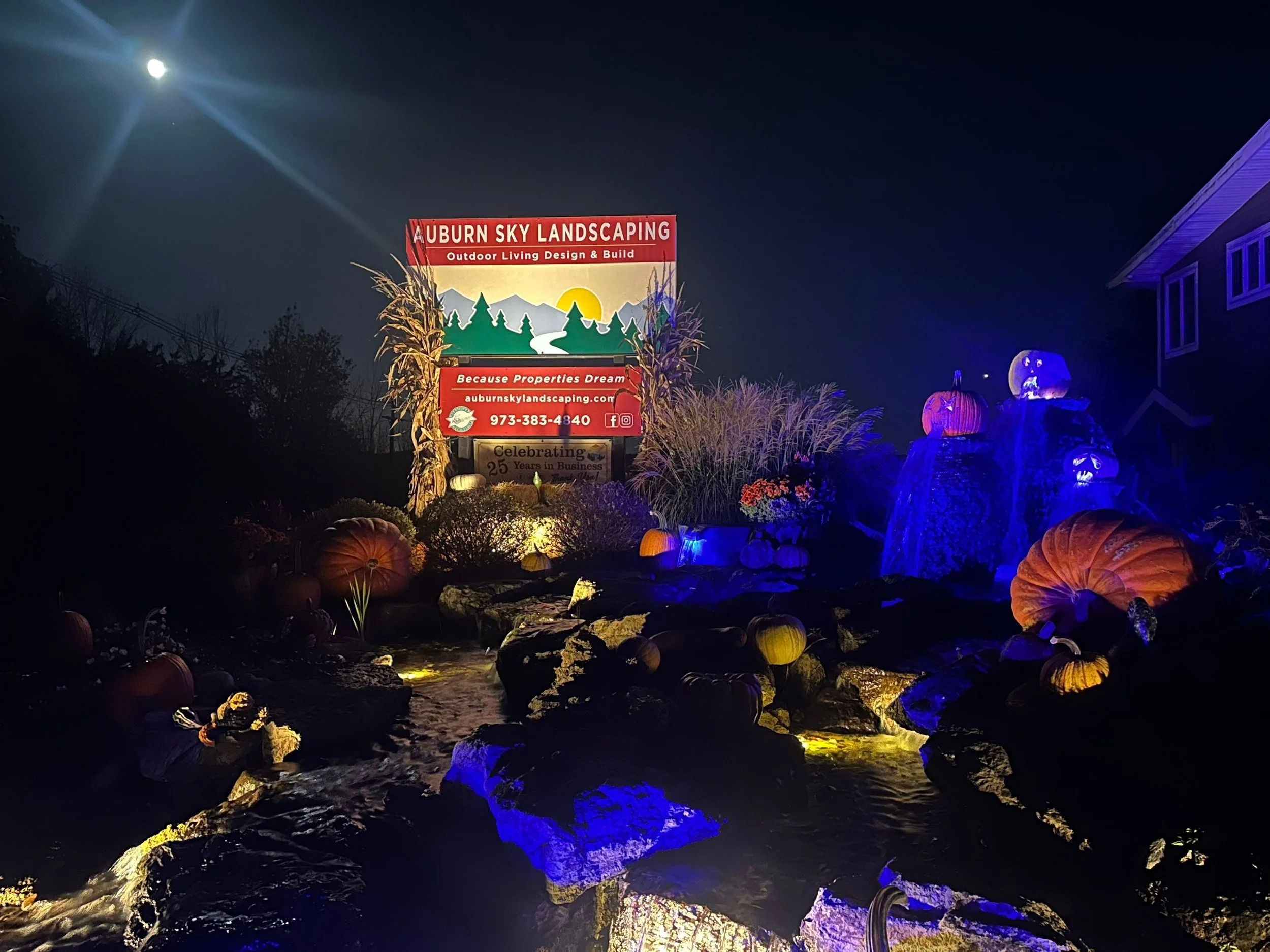 Water Feature Lighting 8-5.jpg