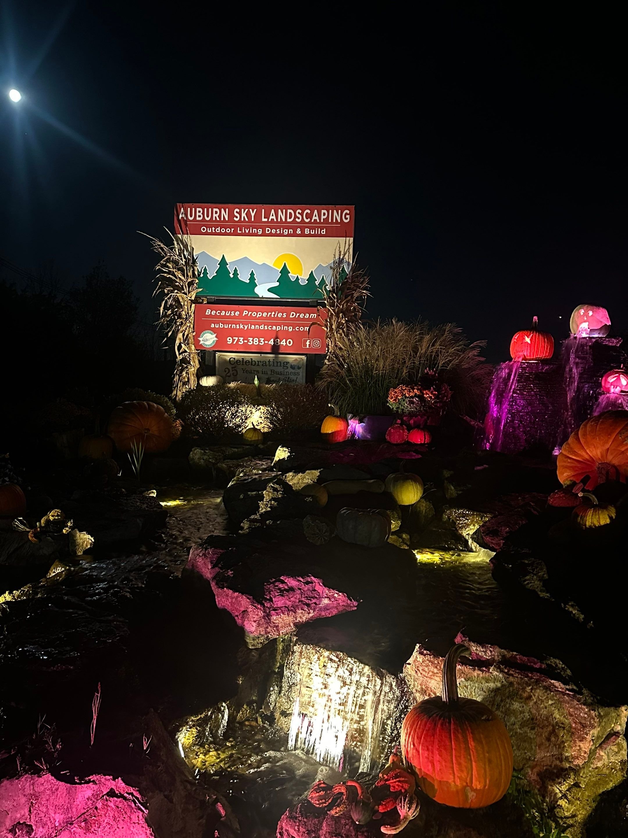 Water Feature Lighting 8-6.jpg