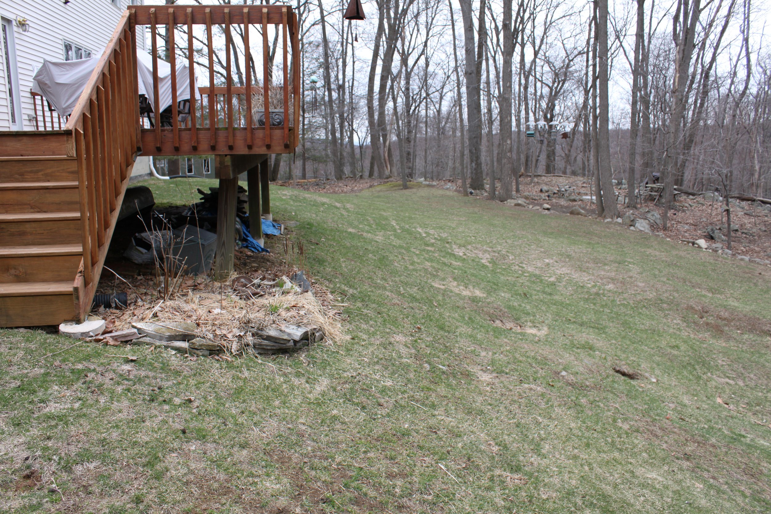 Patios-Walkways-RENOVATION-CONCRETE PAVER-Backyard-Bracket 3-5-2.JPG