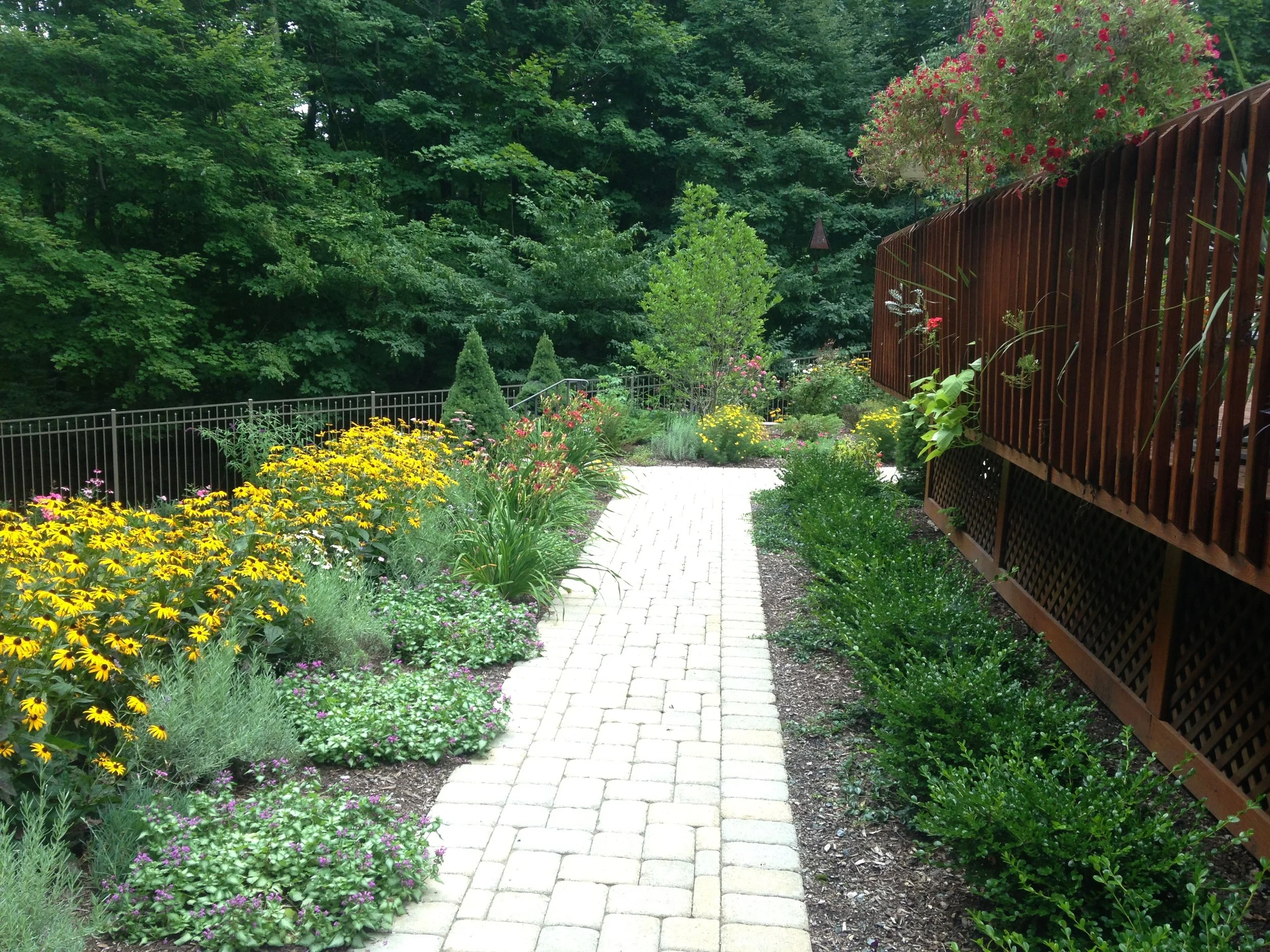 Patios-Walkways-RENOVATION-CONCRETE PAVER-Backyard-Bracket 3-5-9.jpg