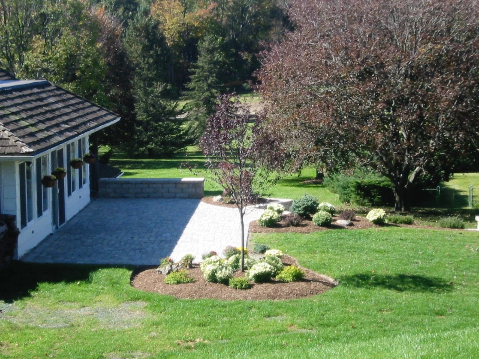 Patios-Walkways-RENOVATION-CONCRETE PAVER-Backyard-Bracket 4-3-3.jpg