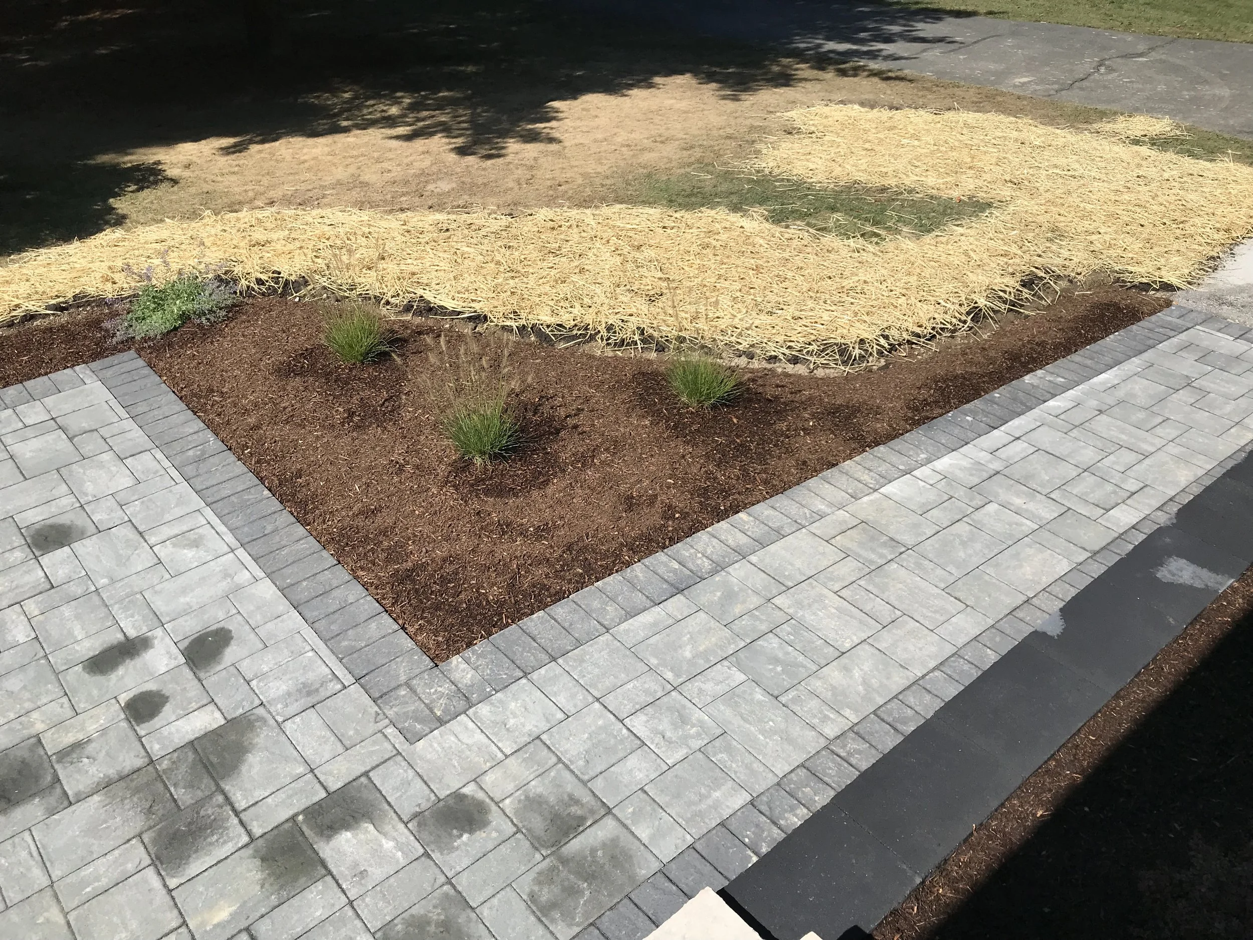 Patios-Walkways-RENOVATION-CONCRETE PAVER-Front Yard-Bracket 2-2-6.jpg