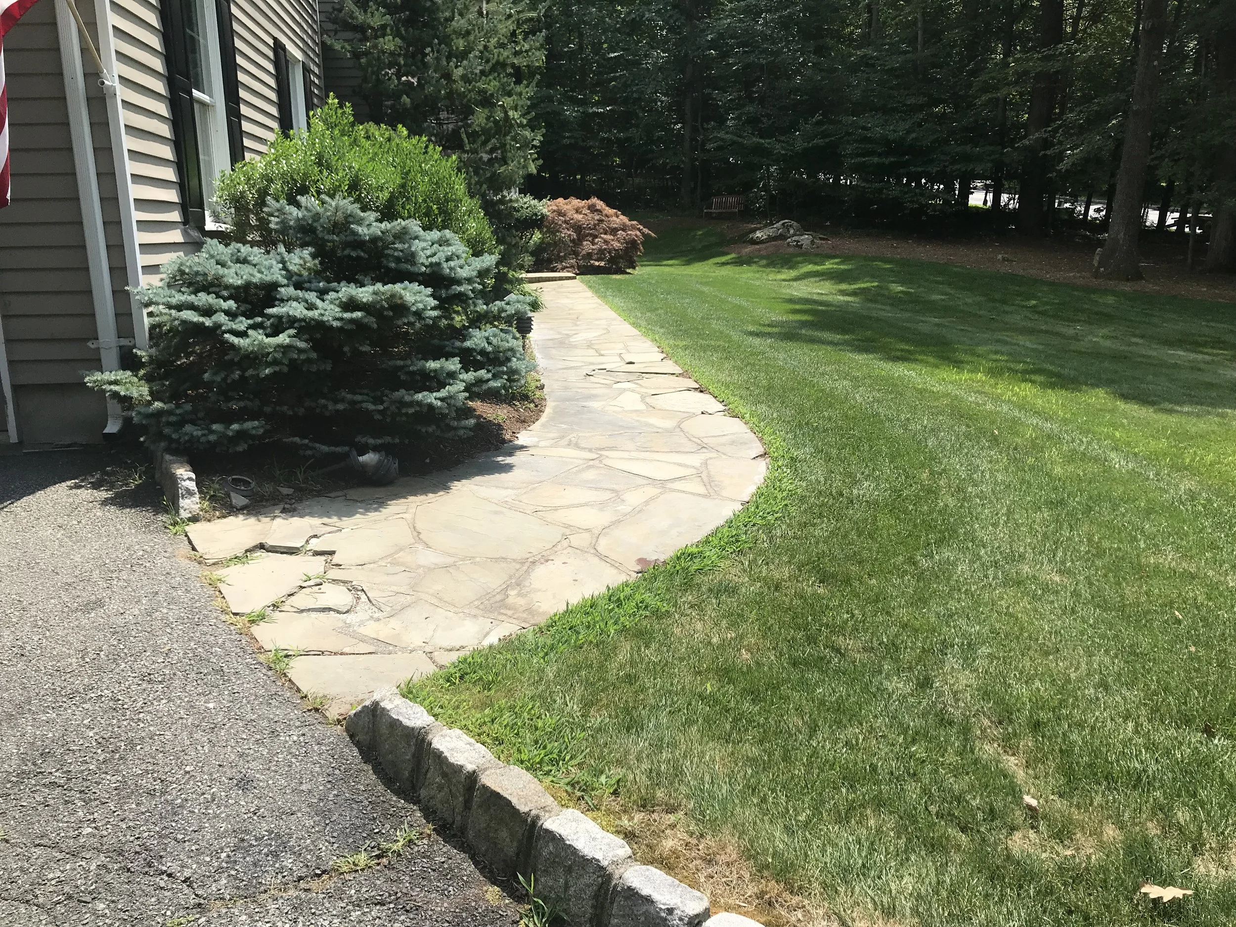 Patios-Walkways-RENOVATION-CONCRETE PAVER-Front Yard-Bracket 3-5-1.jpg