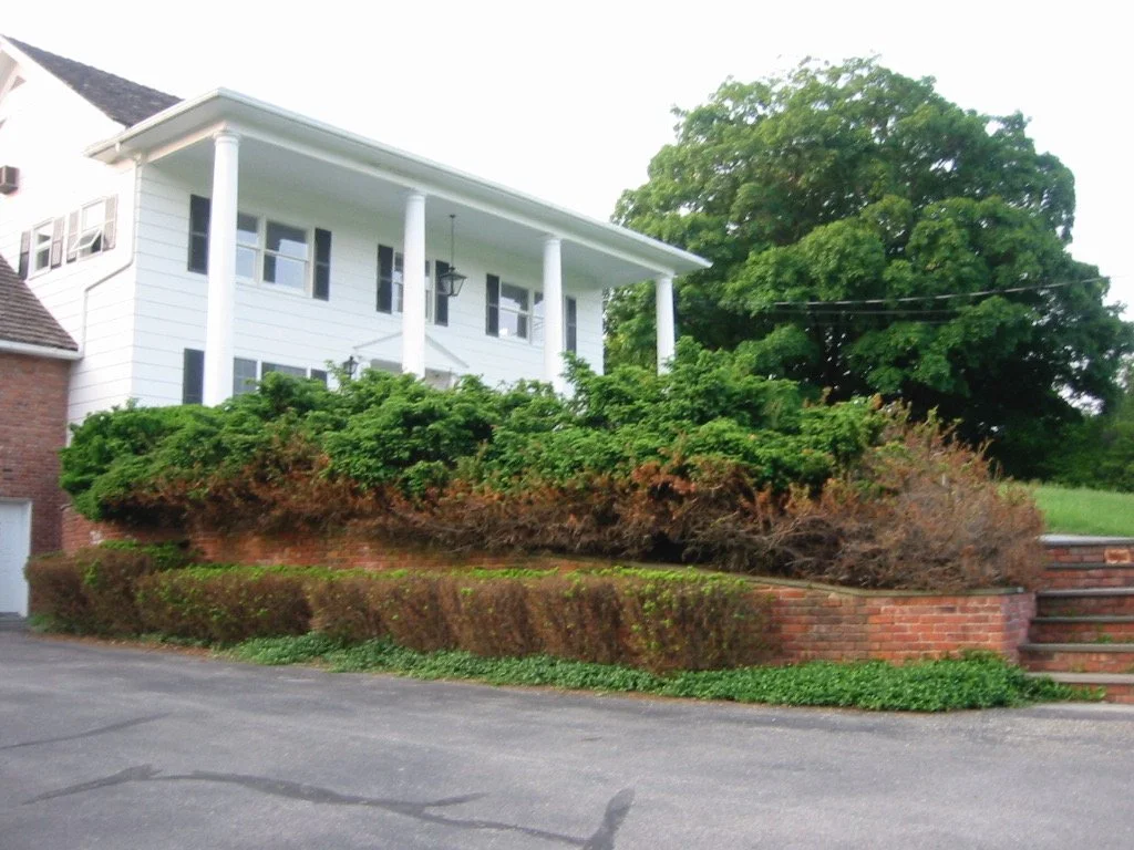 Patios-Walkways-RENOVATION-CONCRETE PAVER-Front Yard-Bracket 4-1-1.jpg