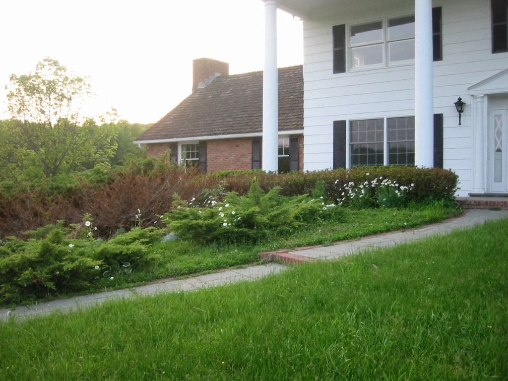 Patios-Walkways-RENOVATION-CONCRETE PAVER-Front Yard-Bracket 4-1-2.jpg