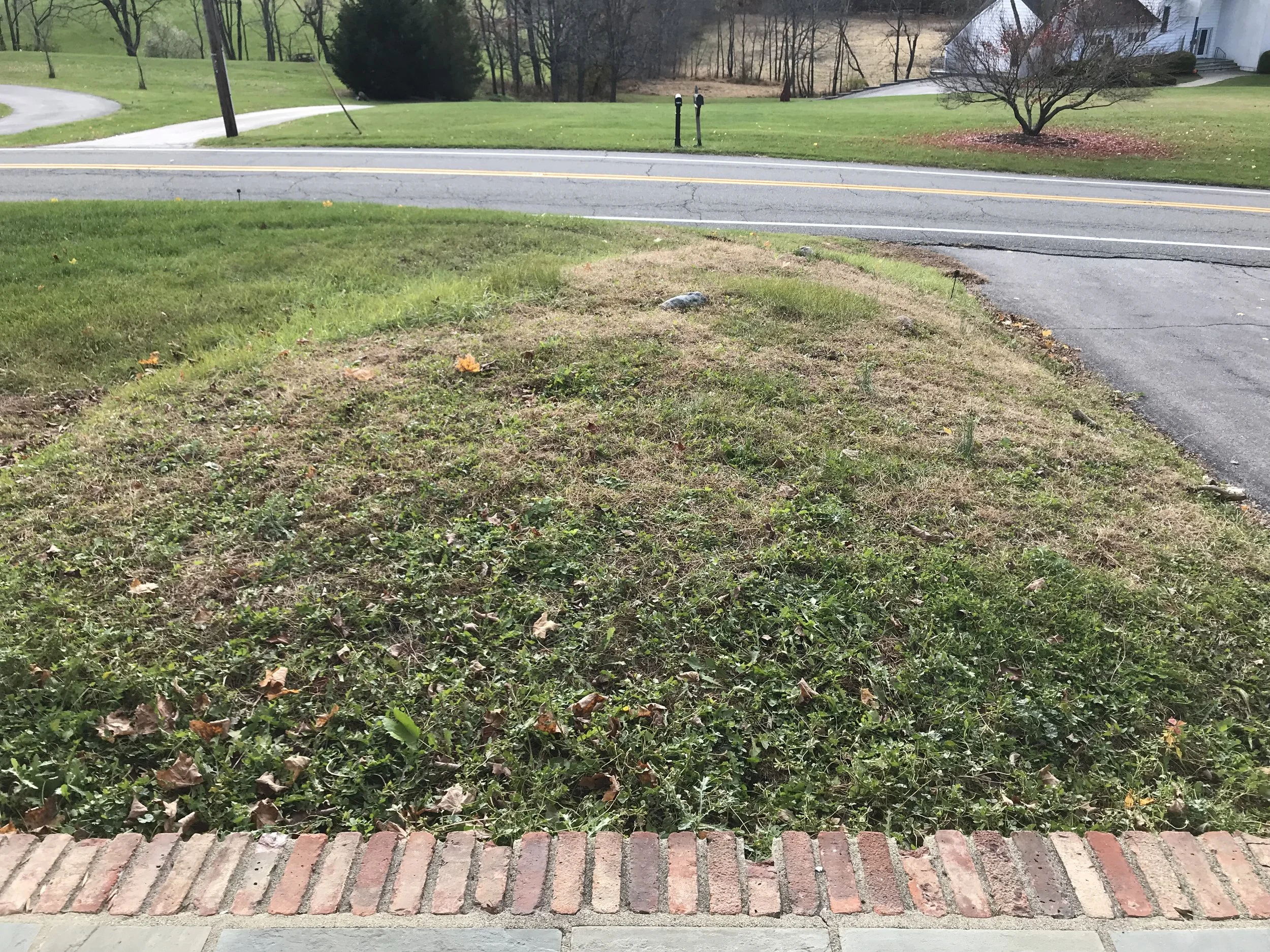 Patios-Walkways-RENOVATION-CONCRETE PAVER-Front Yard-Bracket 4-1-3.jpg