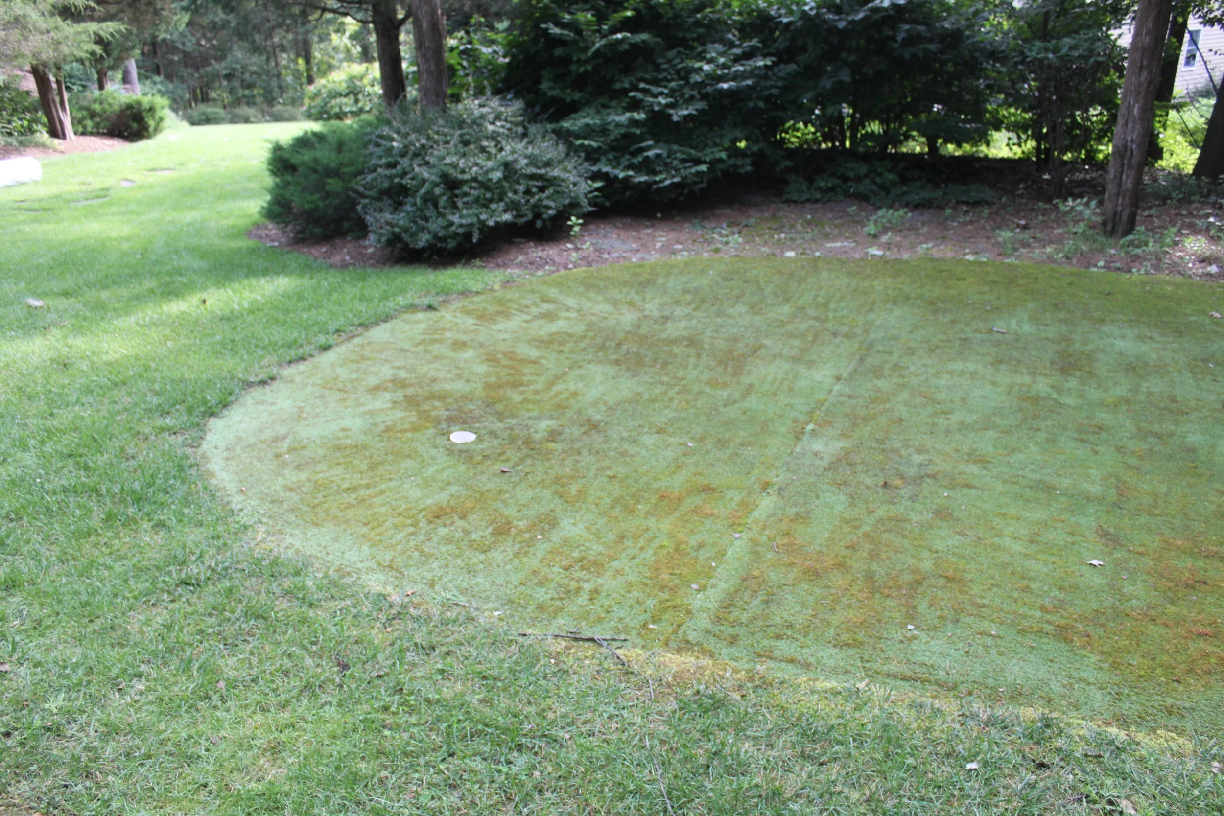 Artificial Turf - 1-1.JPG