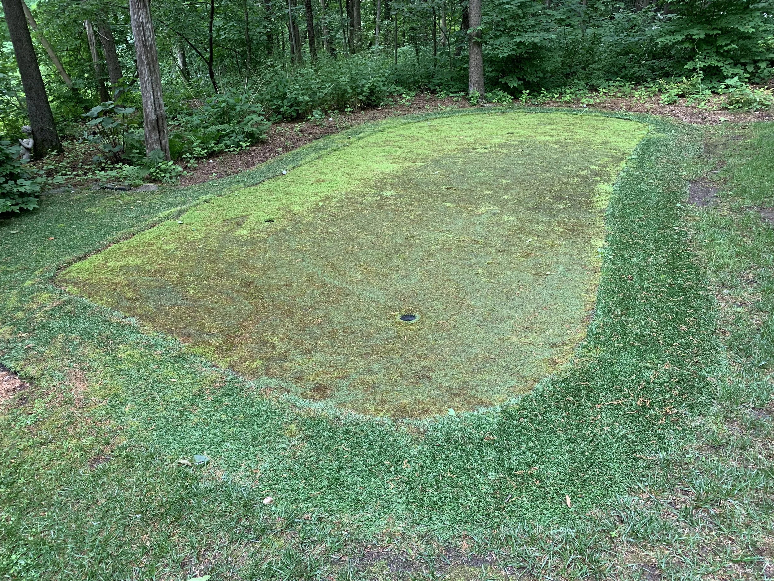 Artificial Turf - 2-1.jpg