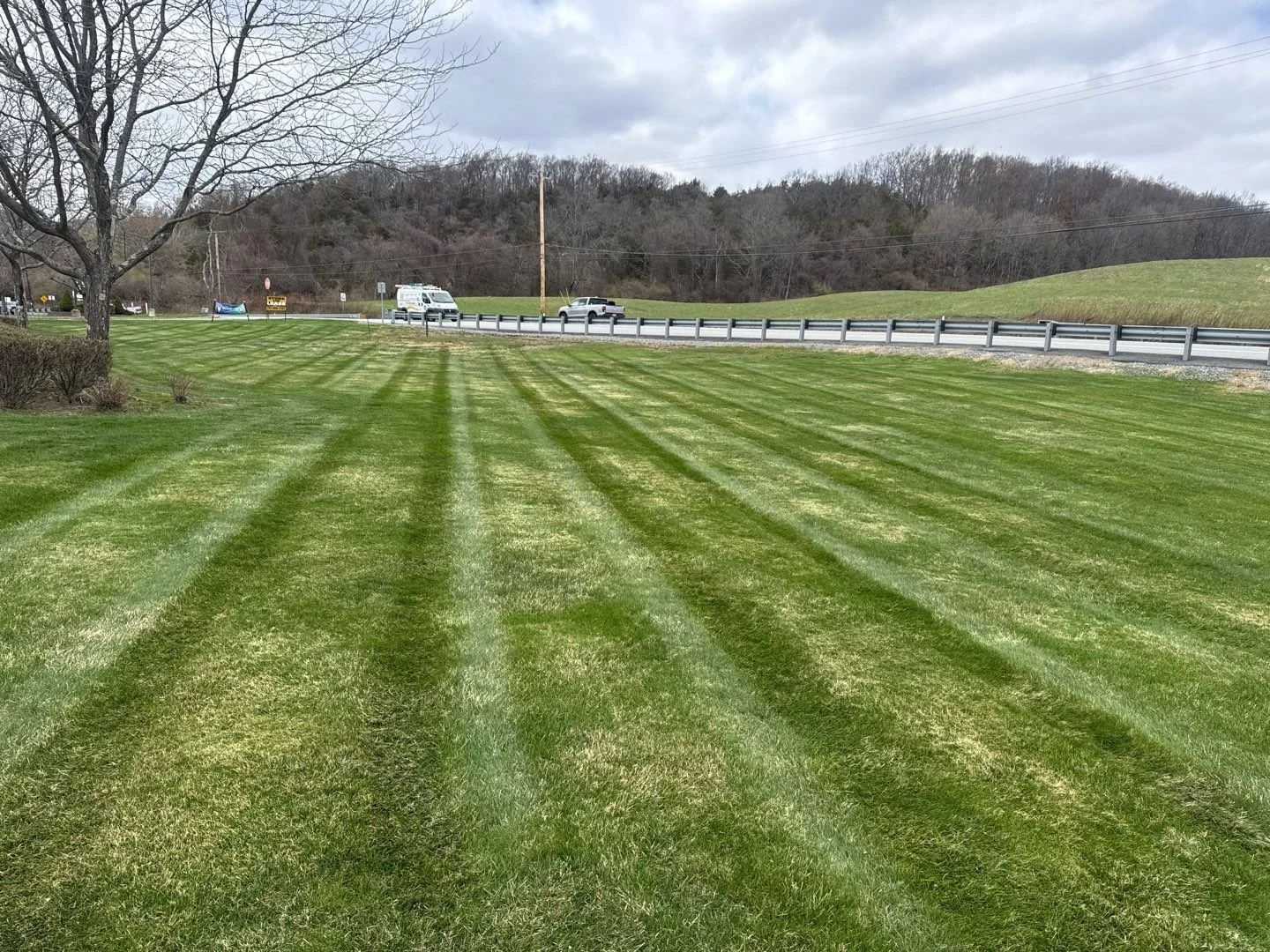 Hydro Seed-Penn Mulch - 1-6.jpg