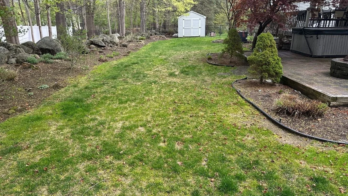 Seed and Straw - 2-1.jpg