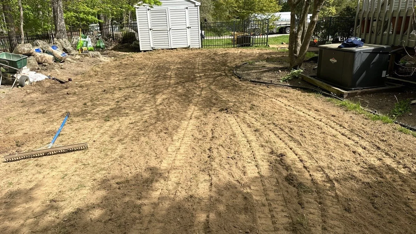 Seed and Straw - 2-3.jpg