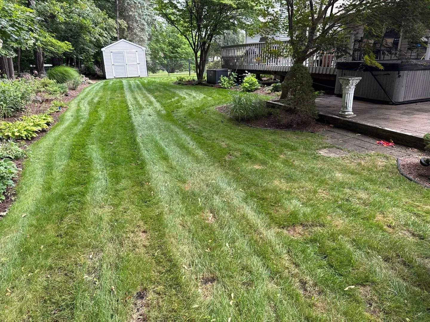 Seed and Straw - 2-7.jpg