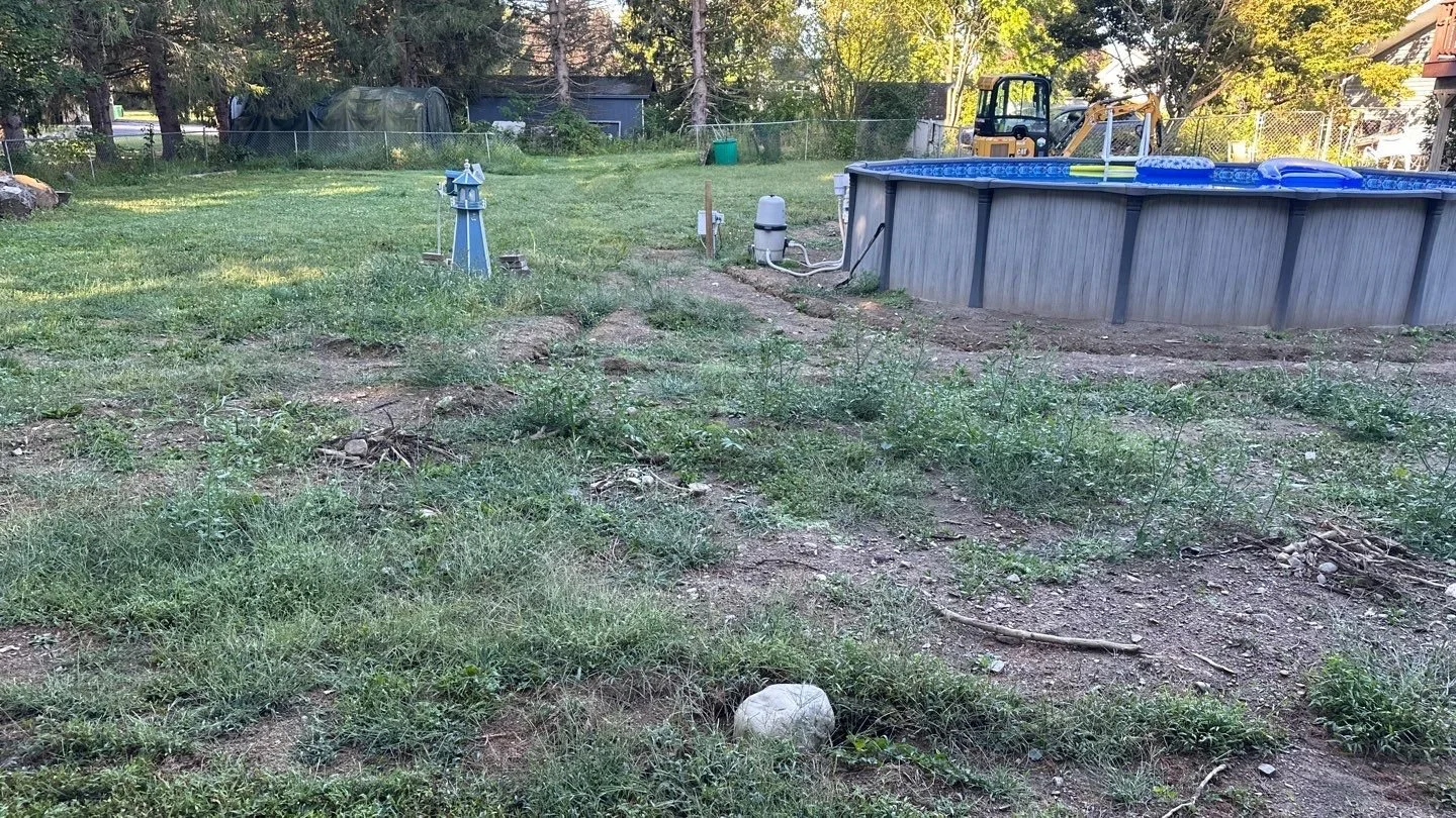 Seed and Straw - 3-1.jpg
