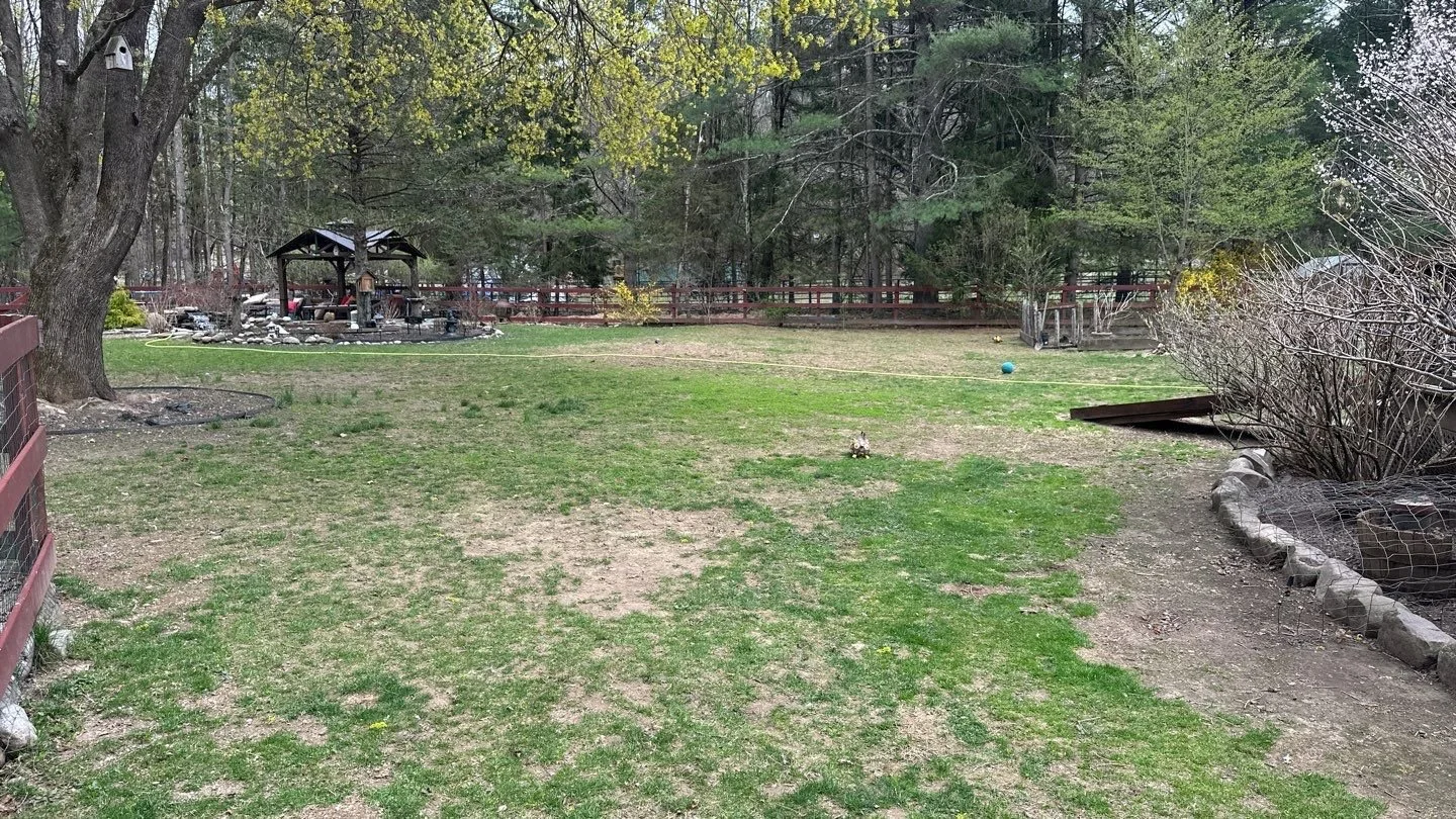 Seed and Straw - 4-2.jpg