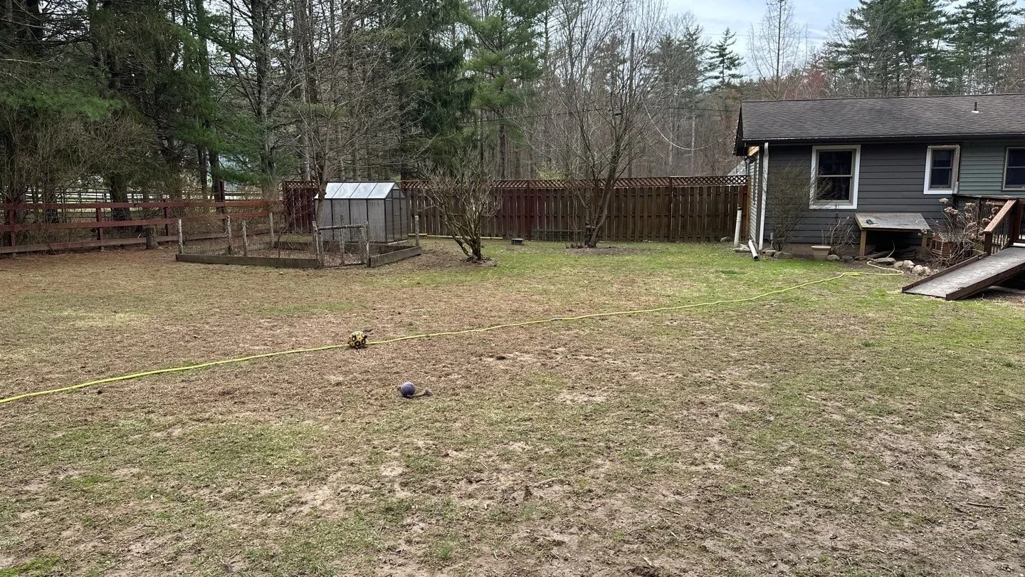 Seed and Straw - 4-3.jpg