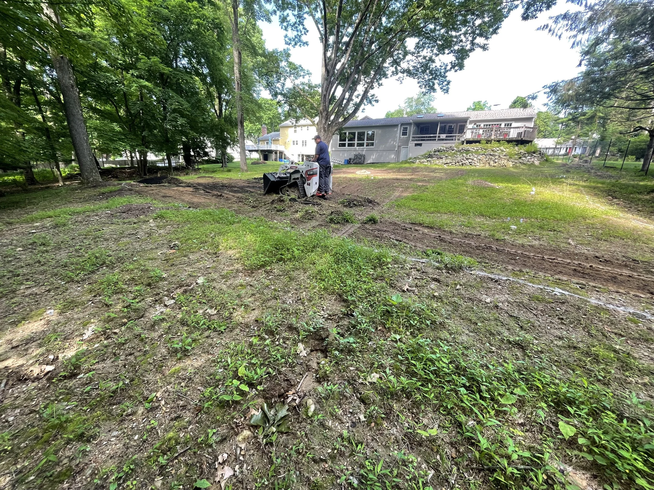 Seed and Straw - 5-4.jpg