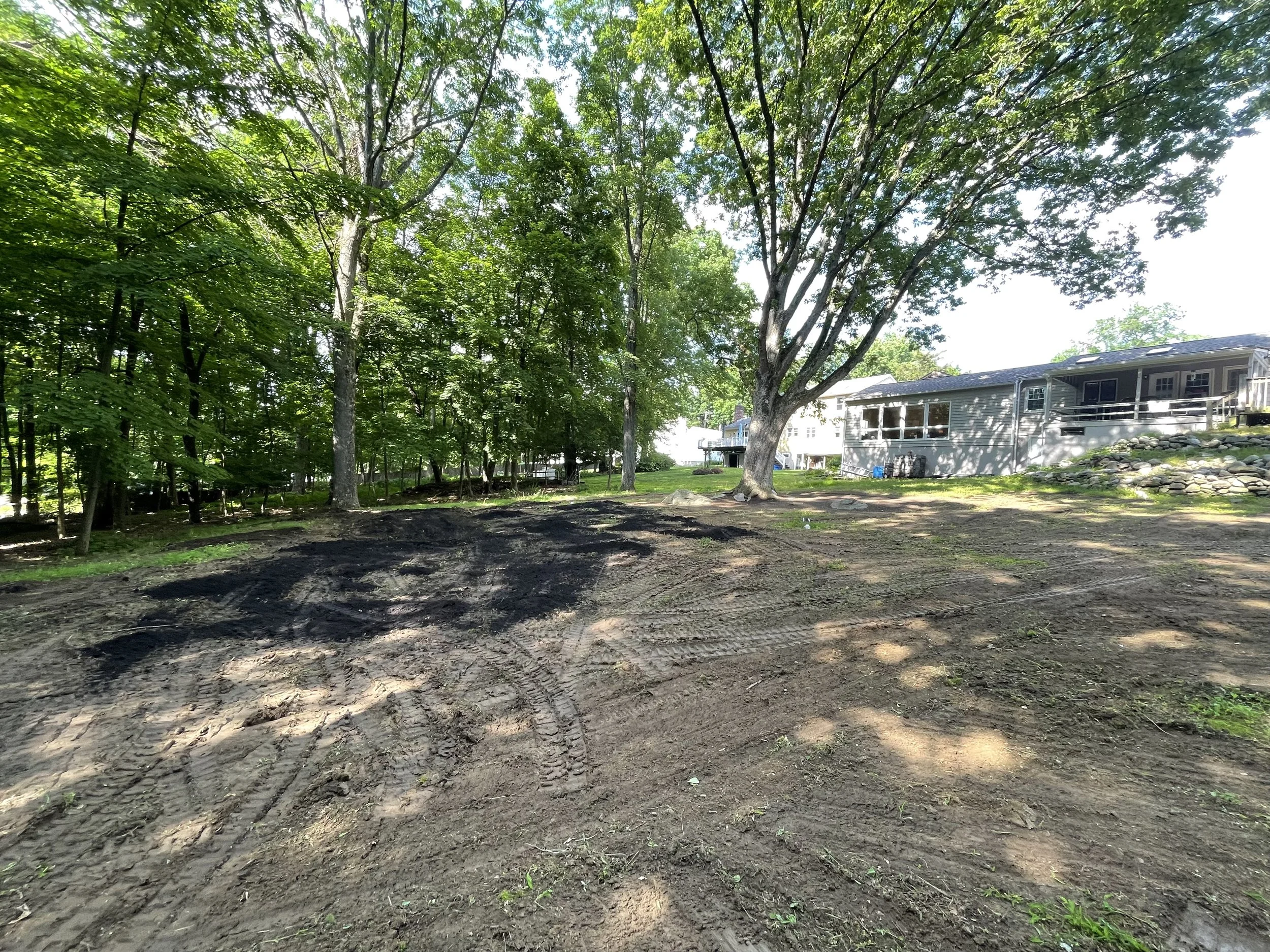 Seed and Straw - 5-5.jpg