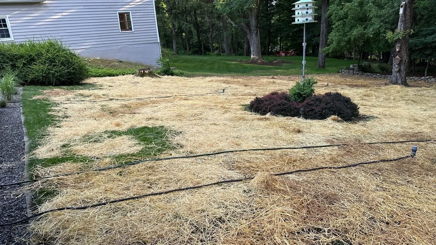 Seed and Straw - 7-7.jpg