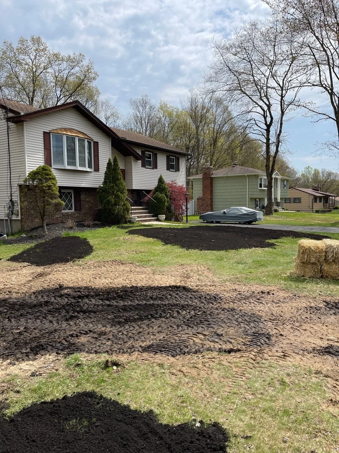 Seed and Straw - 9-4.jpg