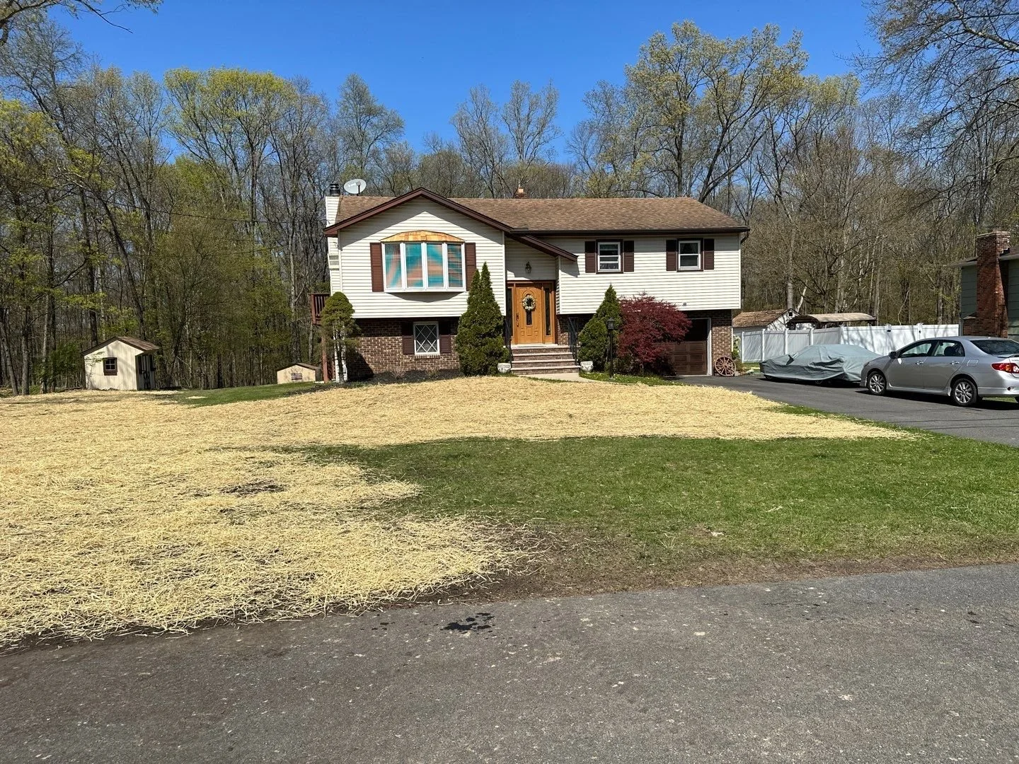 Seed and Straw - 9-8.jpg