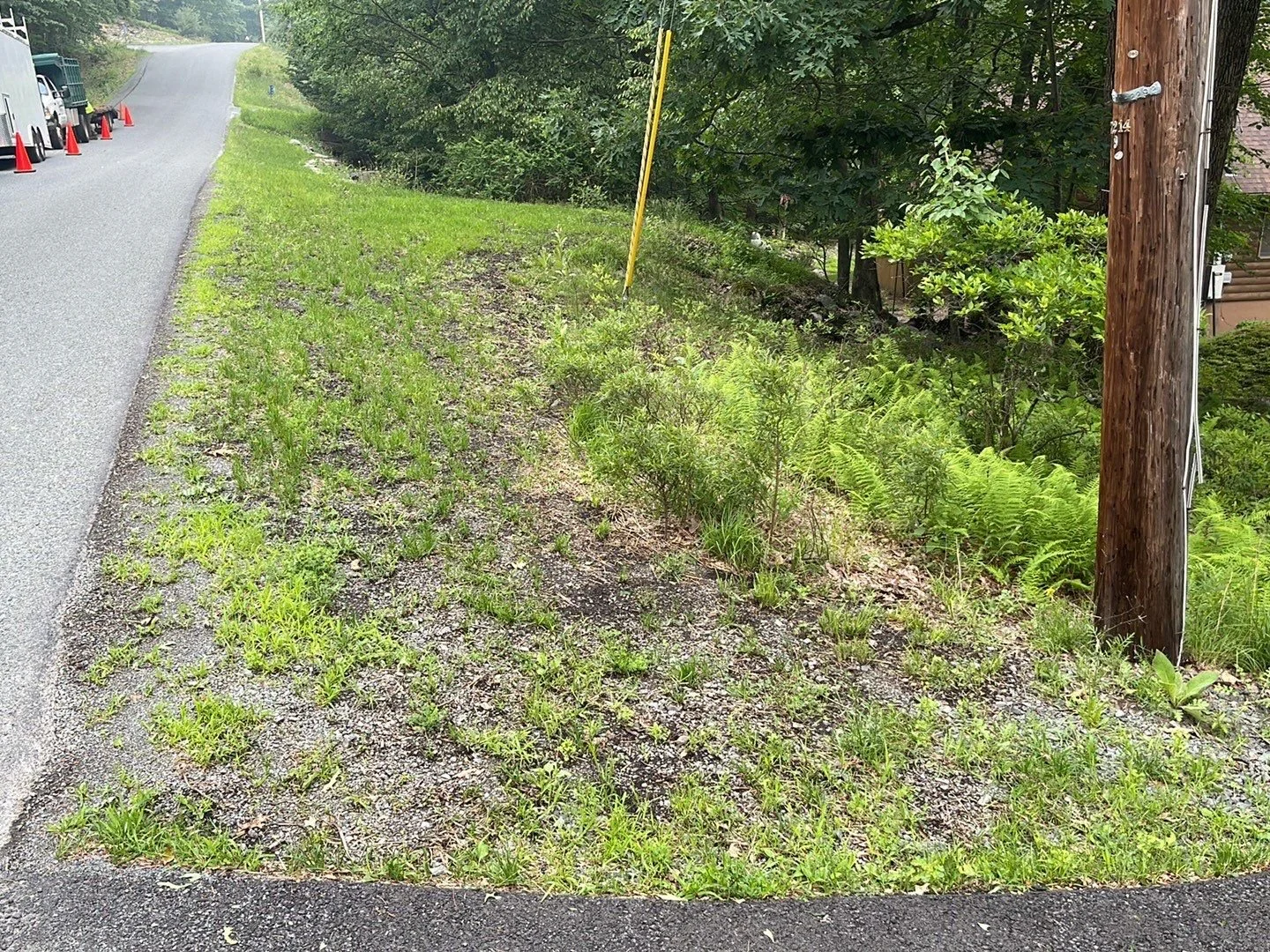 Seed and Straw - 10-3.jpg