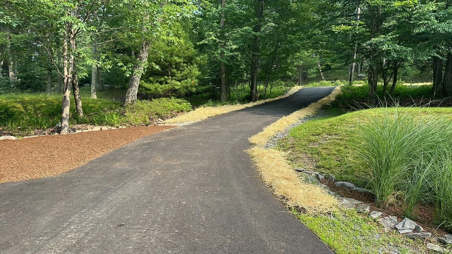 Seed and Straw - 10-8.jpg