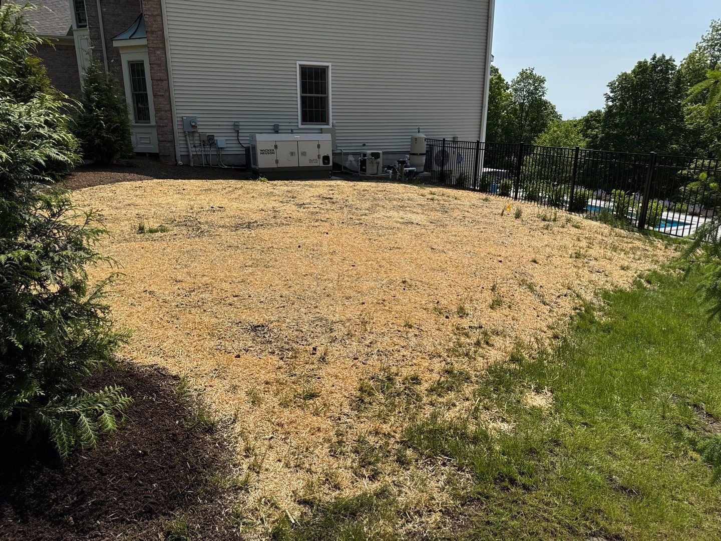 Seed and Straw - 15-2.jpg