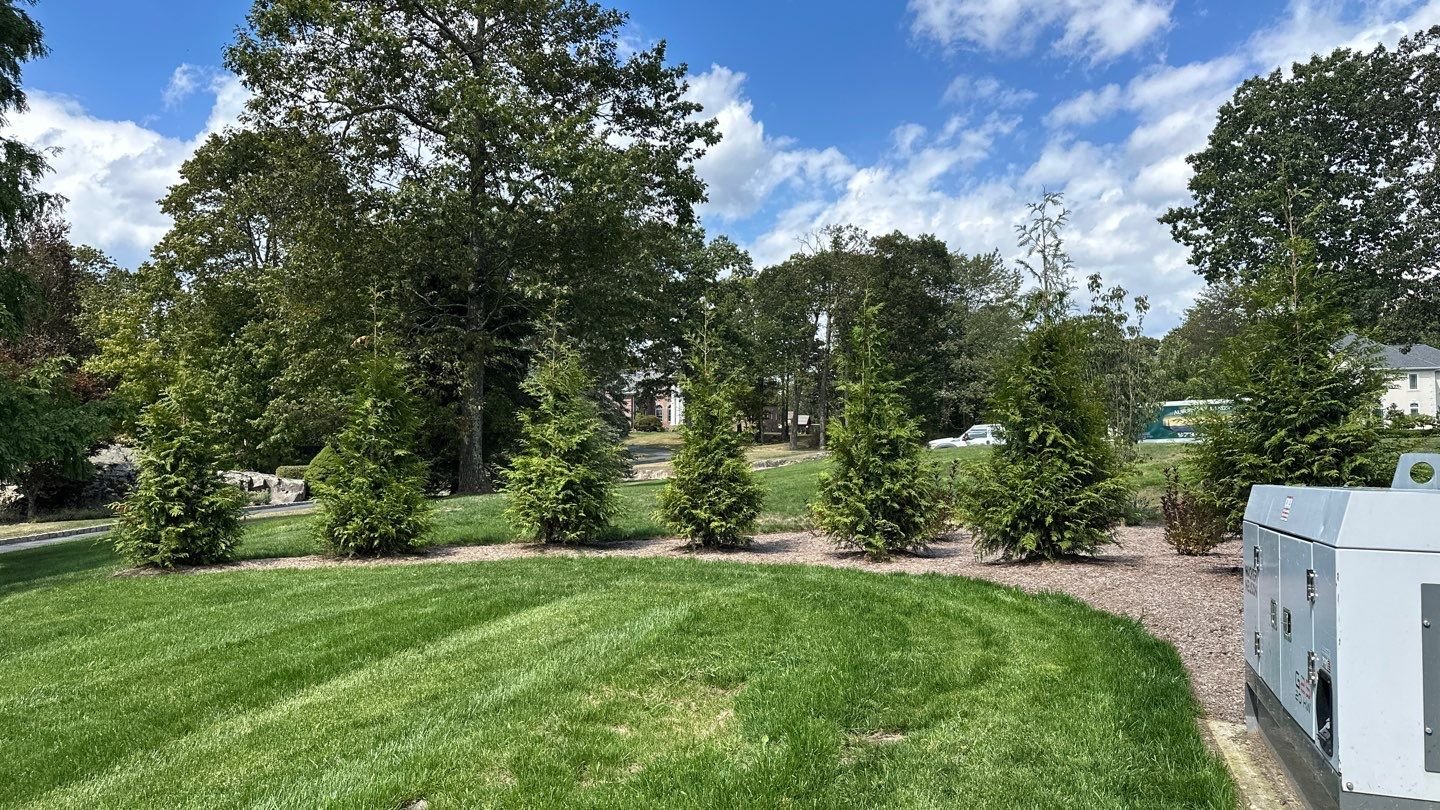 Seed and Straw - 15-4.jpg