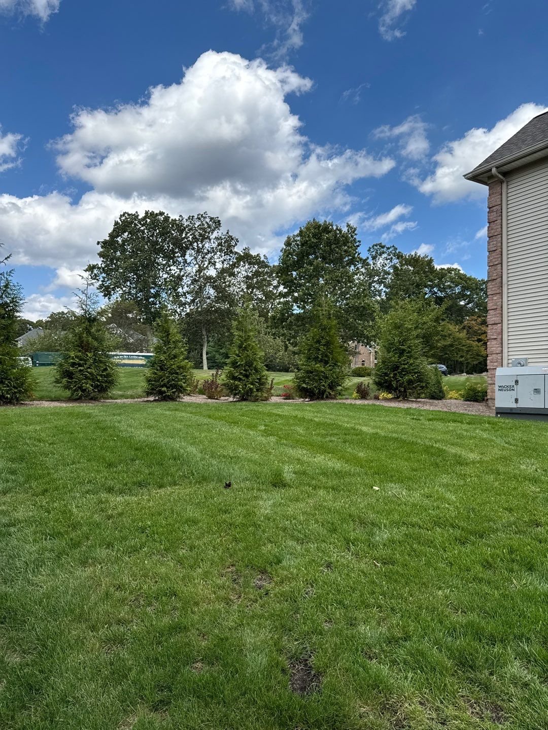 Seed and Straw - 15-5.jpg