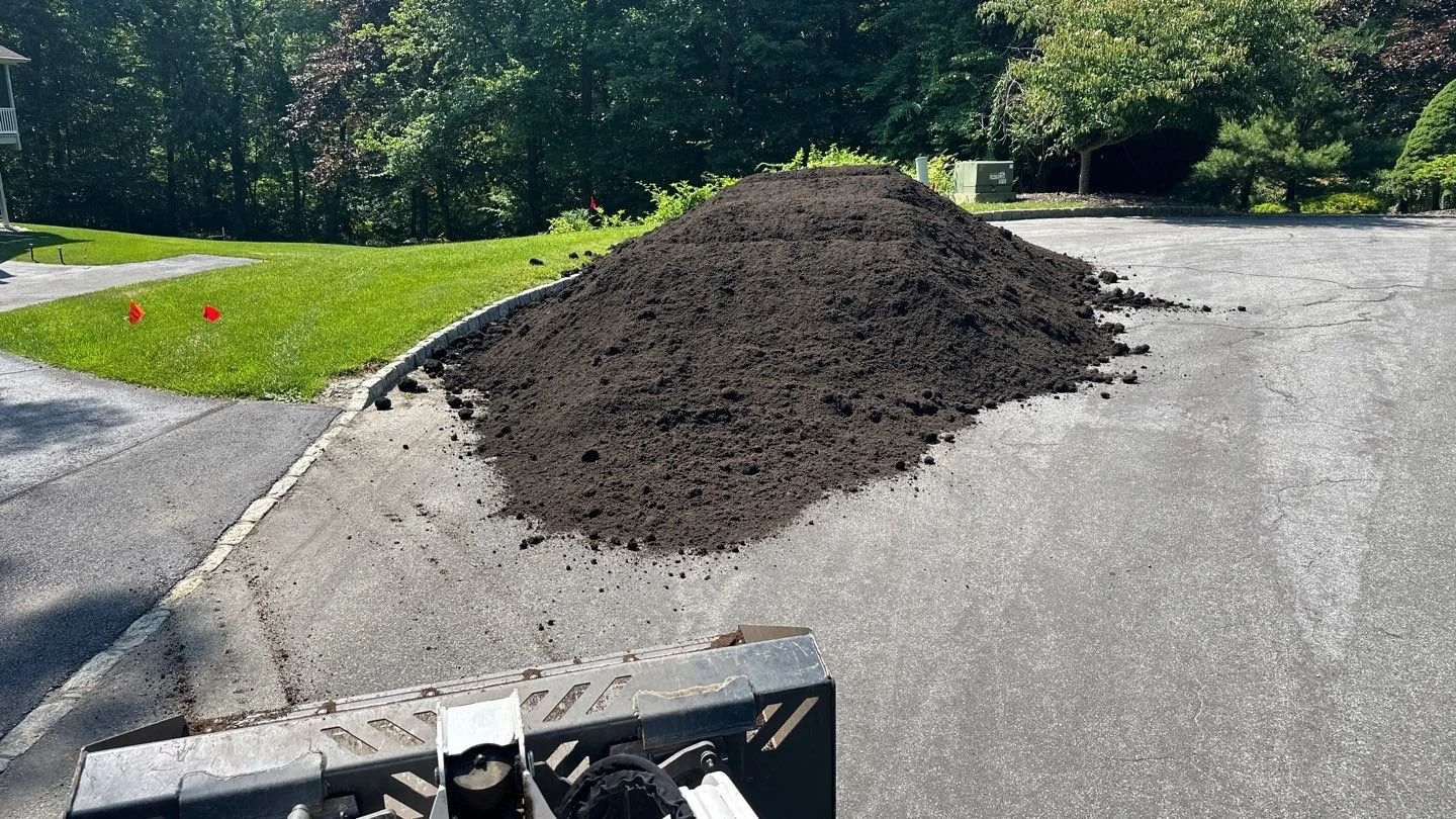 Seed and Straw - 17-6.jpg