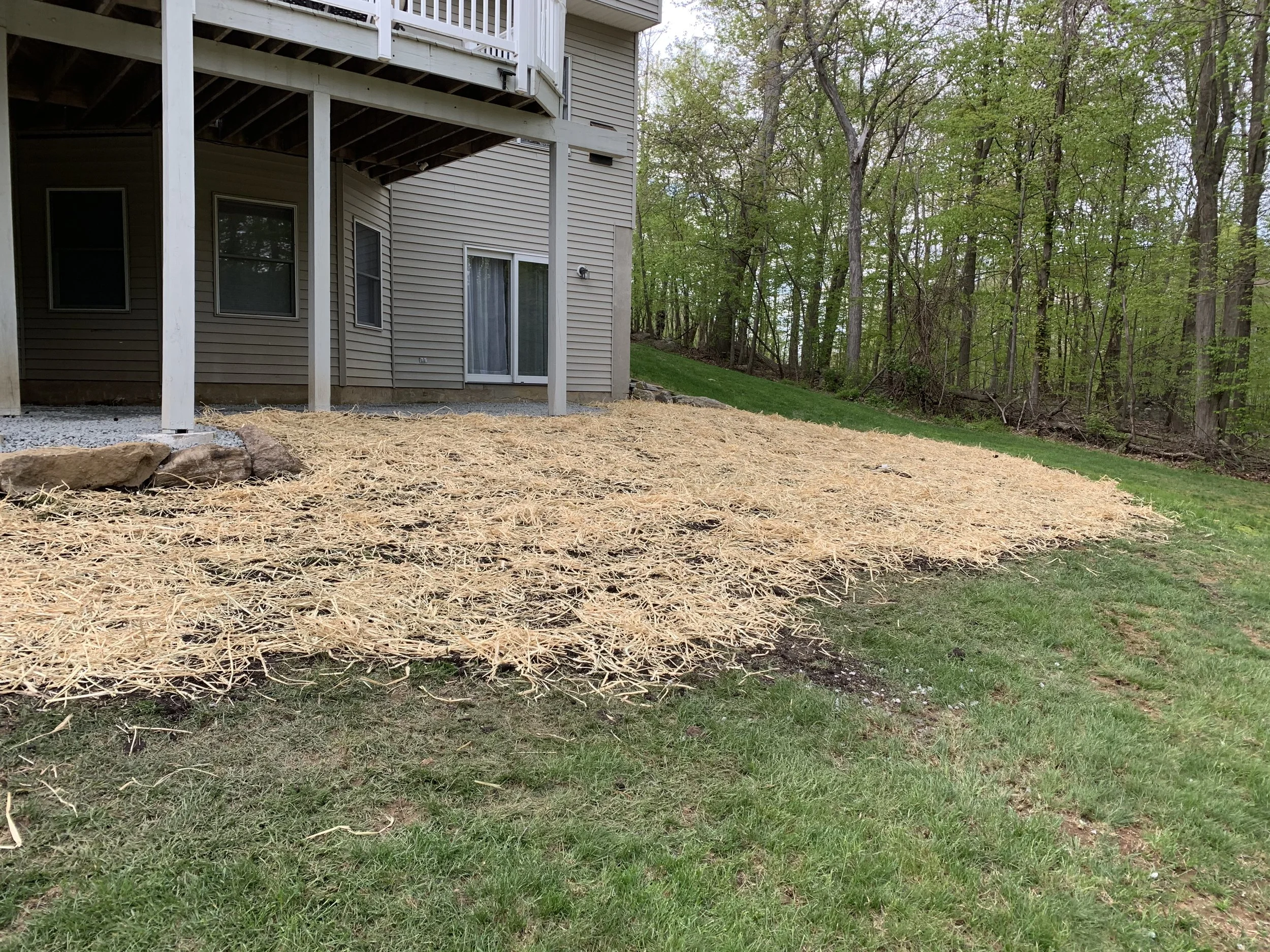 Seed and Straw - 17-3.jpg