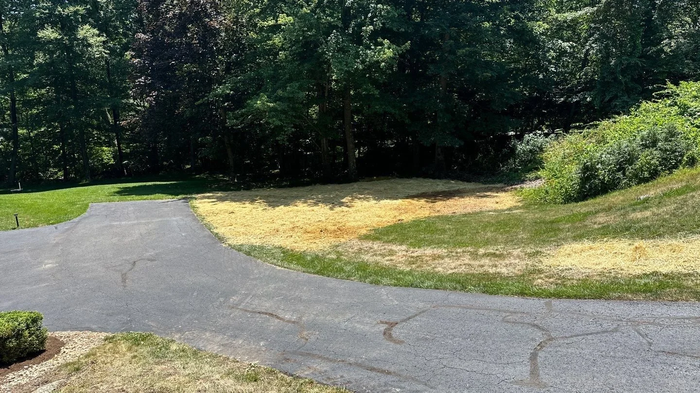 Seed and Straw - 17-8.jpg